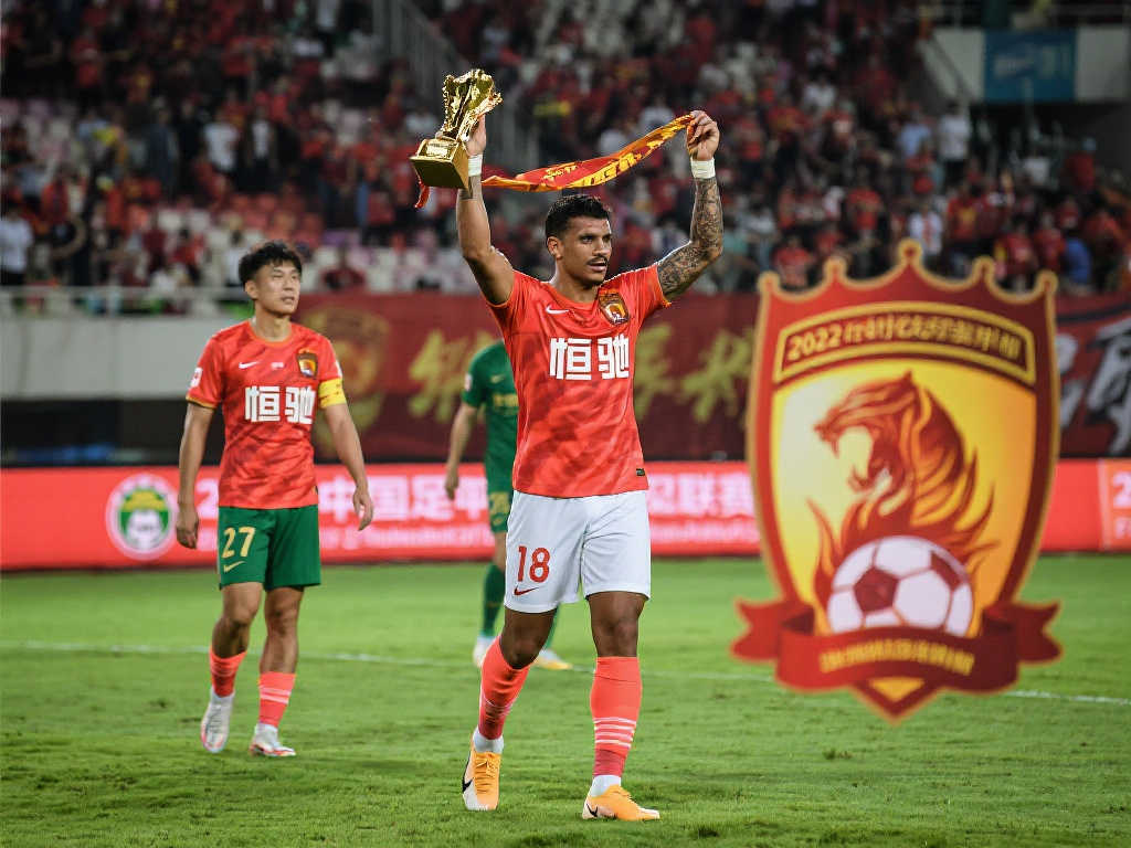 的全力配合 的全力配合